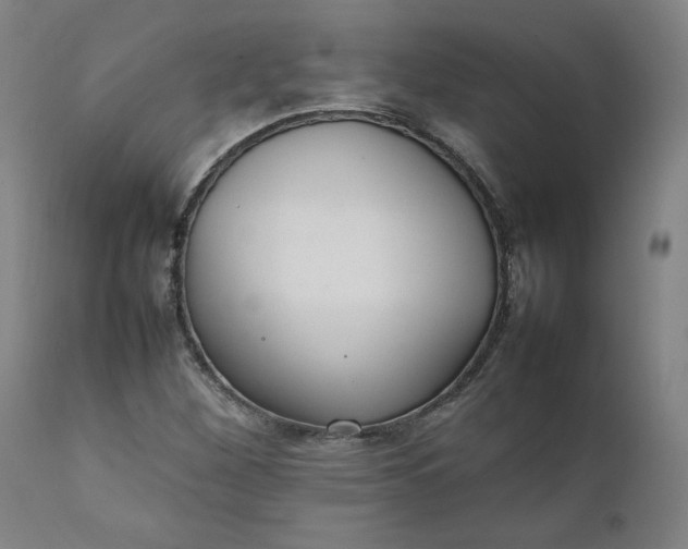 X0000111231260200907161308