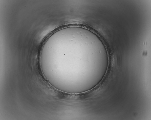 X0000111231261200907161308