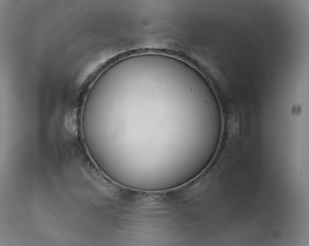 X0000111231262200907161308