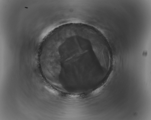 X0000111231263200907161308