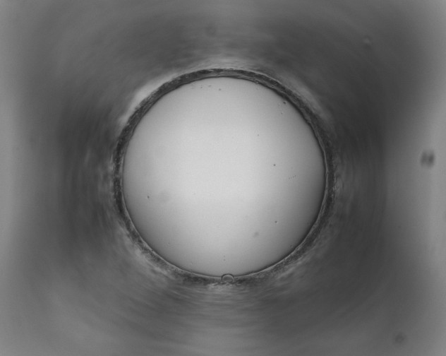 X0000111231264200907161308