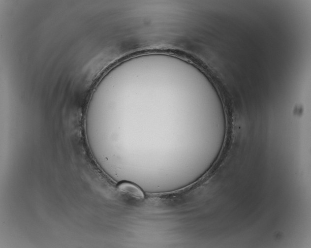 X0000111231265200907161308