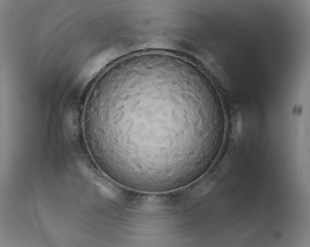 X0000111231266200907161308