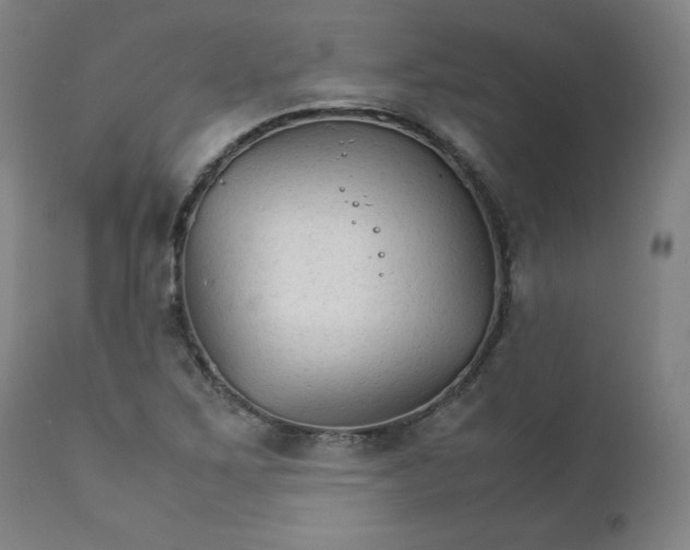X0000111231267200907161308