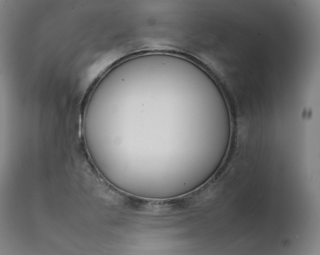 X0000111231269200907161308