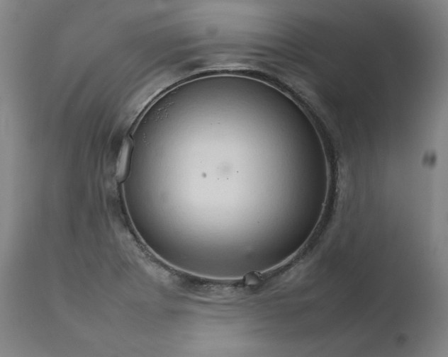 X0000111231273200907161308