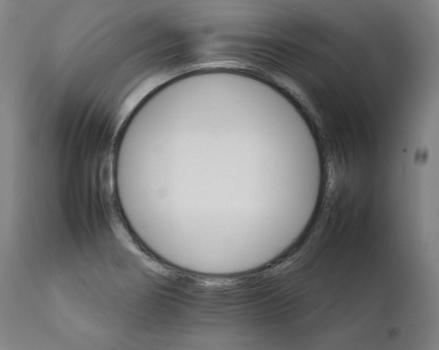 X0000111231274200907161308