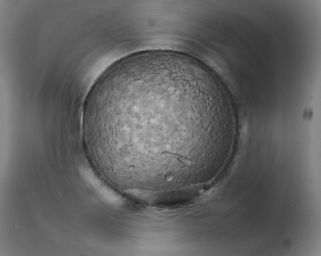 X0000111231275200907161308