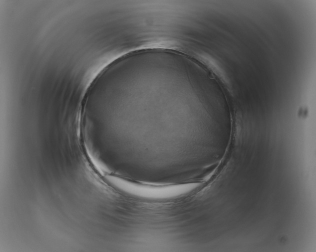 X0000111231276200907161308