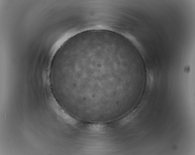 X0000111231278200907161308