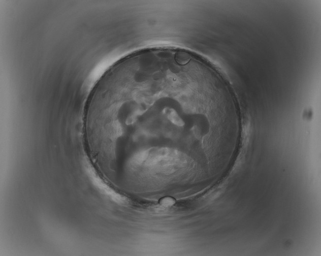 X0000111231279200907161308