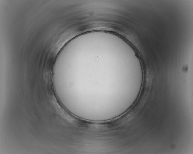 X0000111231281200907161307
