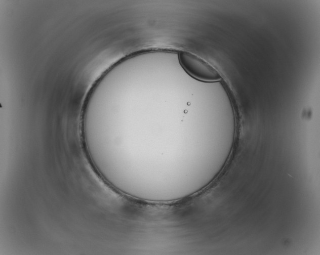 X0000111231285200907161307