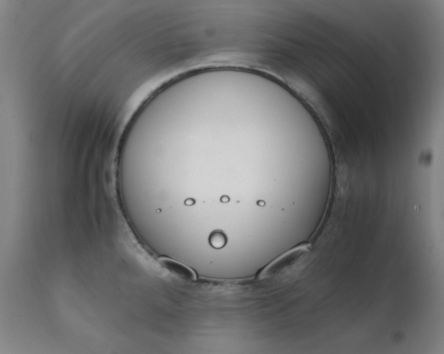 X0000111231288200907161307