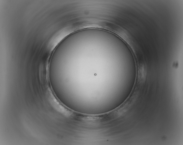 X0000111231290200907161307