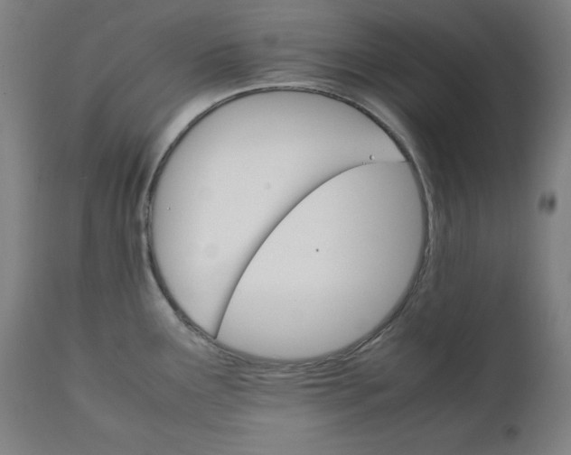 X0000111231291200907161307