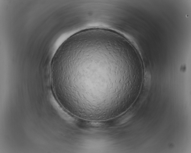X0000111231295200907161307