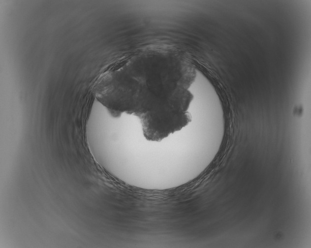 X0000111231297200907161307