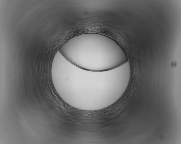 X0000111231298200907161307