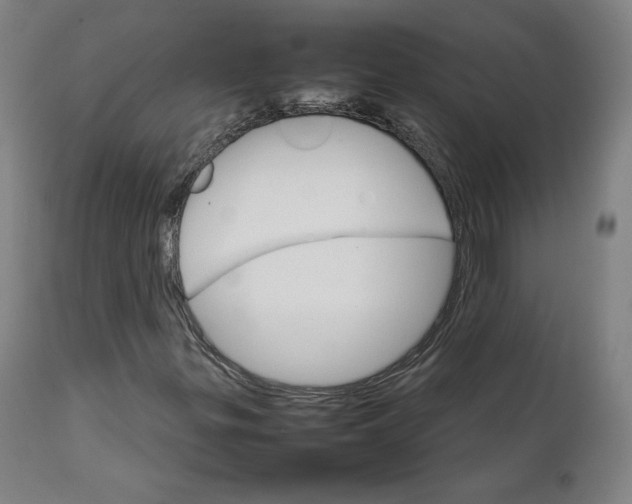 X0000111231299200907161307