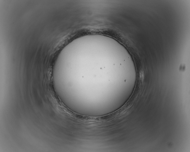 X0000111231300200907161307
