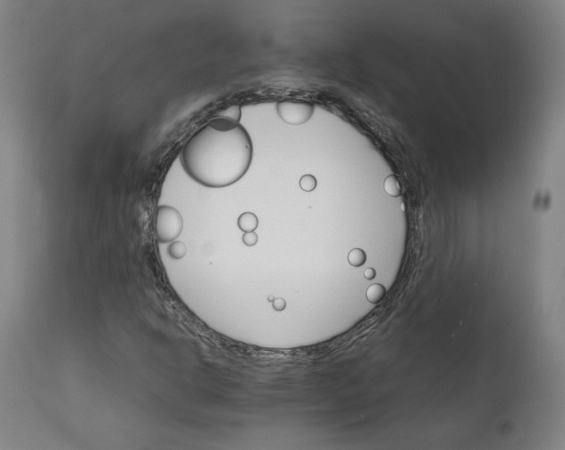 X0000111231302200907161307