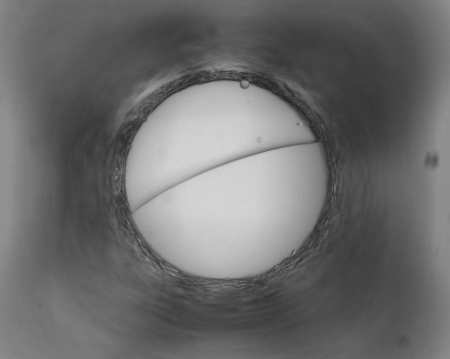 X0000111231303200907161307