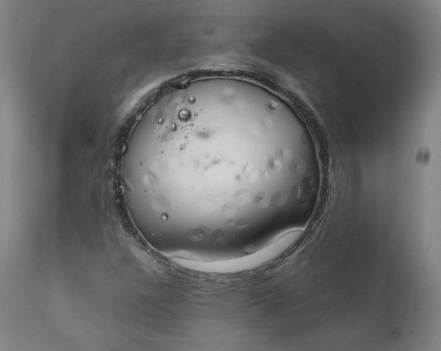 X0000111231304200907161307