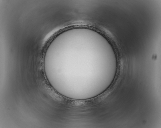 X0000111231310200907161307