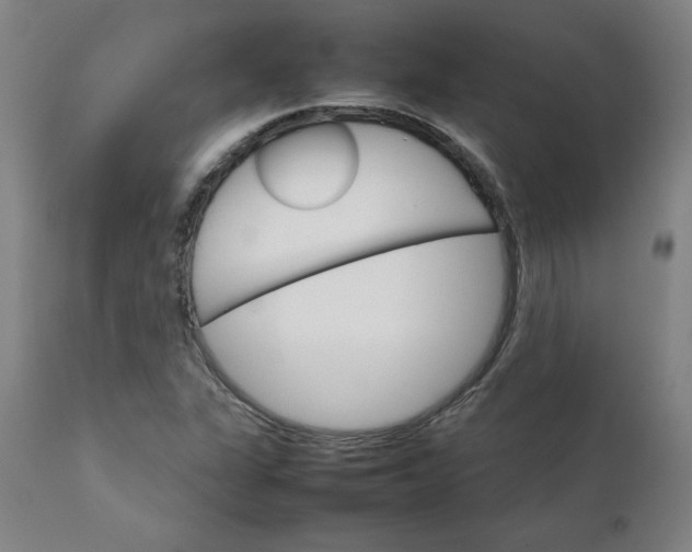 X0000111231311200907161307