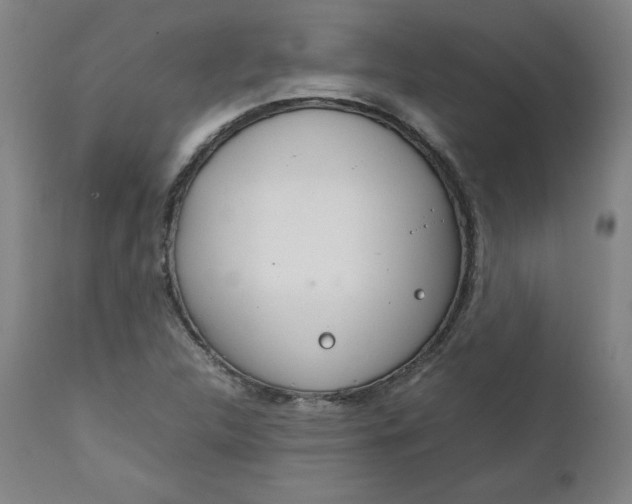 X0000111231312200907161307