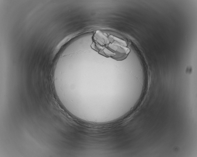 X0000111231314200907161307