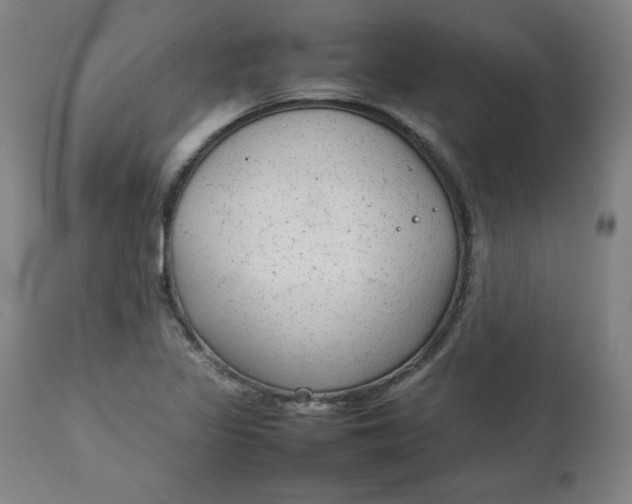 X0000111231317200907161307