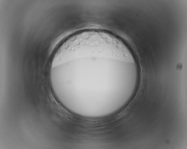 X0000111231318200907161307