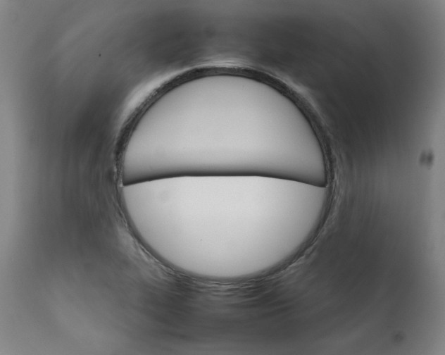 X0000111231319200907161307