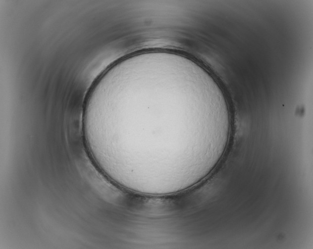 X0000111231322200907161307
