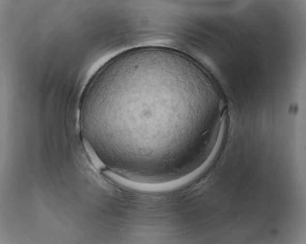 X0000111231324200907161307