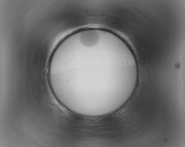 X0000111231327200907161307