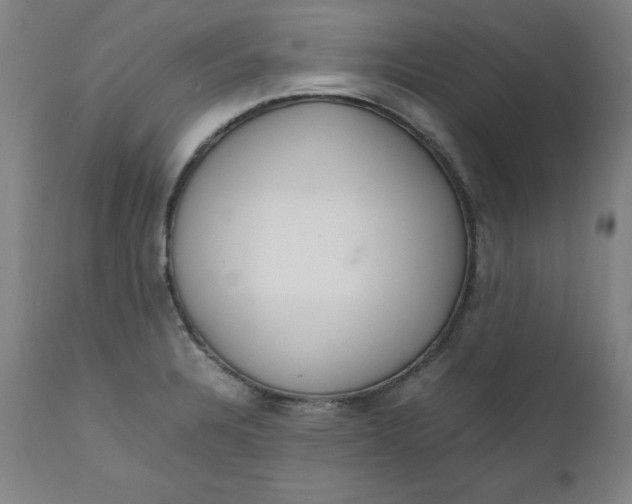 X0000111231328200907161307