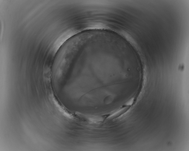 X0000111231329200907161307