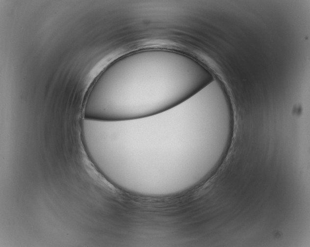 X0000111231330200907161307