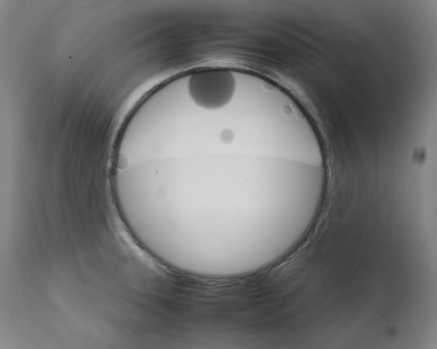 X0000111231331200907161307