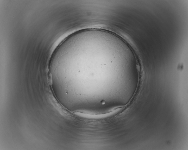 X0000111231332200907161307