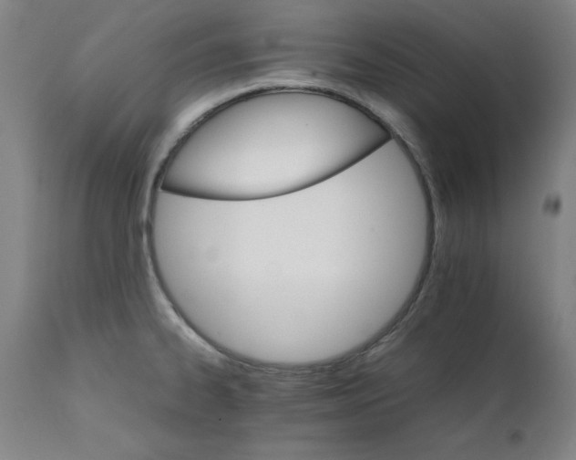 X0000111231334200907161307
