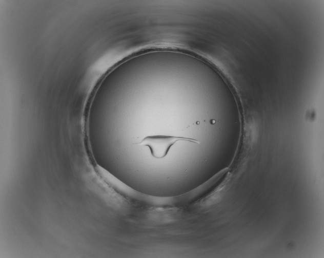 X0000111231335200907161307