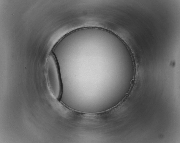 X0000111231342200907161307