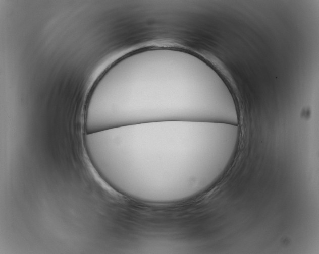 X0000111231343200907161307