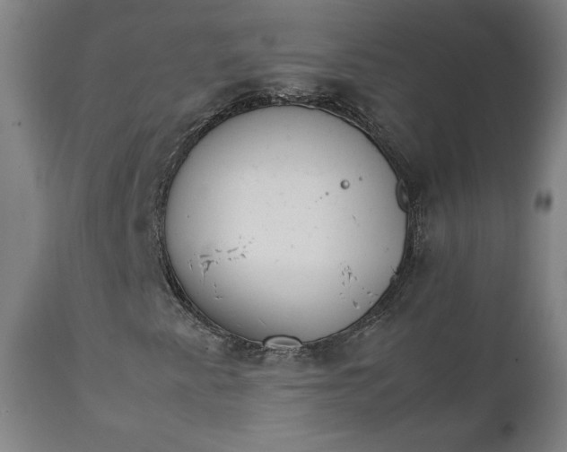 X0000111231345200907161307