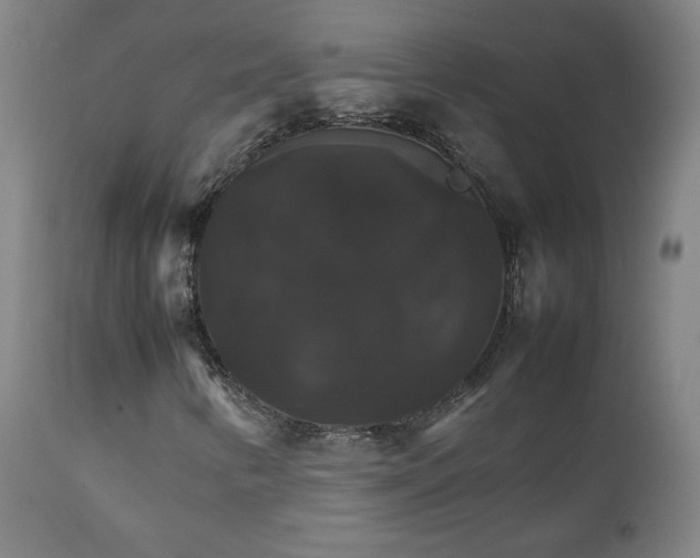 X0000111231346200907161307
