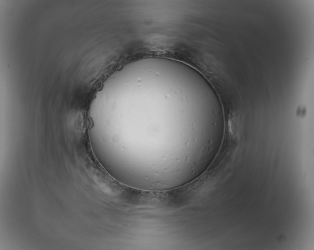 X0000111231347200907161307